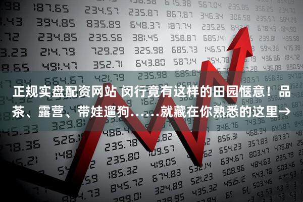 正规实盘配资网站 闵行竟有这样的田园惬意！品茶、露营、带娃遛狗……就藏在你熟悉的这里→